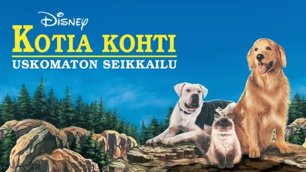 thumbnail - Kotia kohti - uskomaton seikkailu