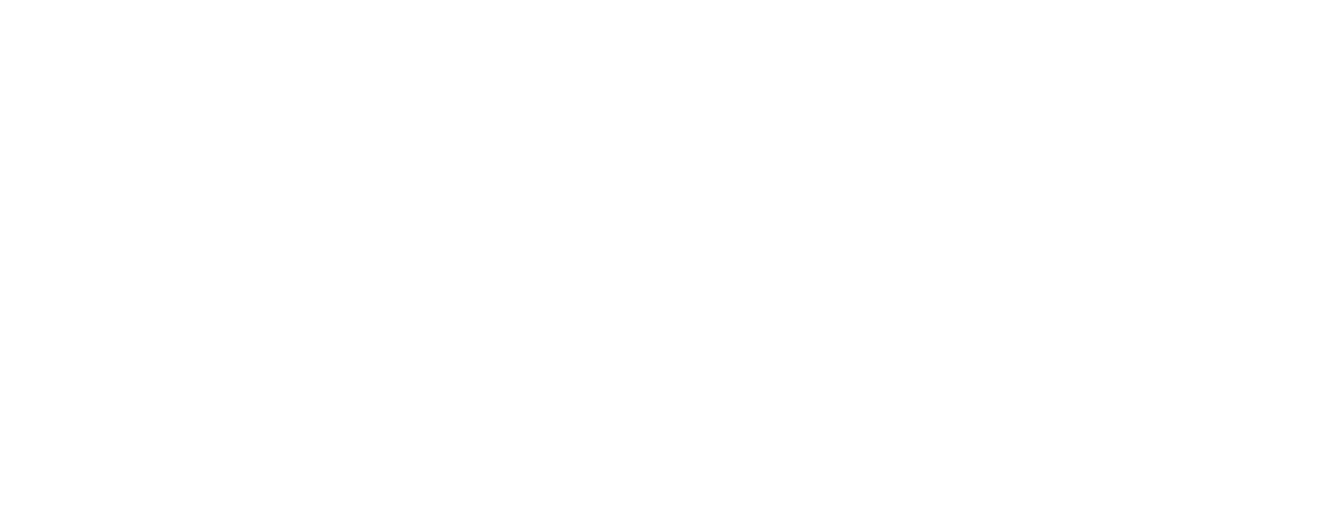 Water Birds