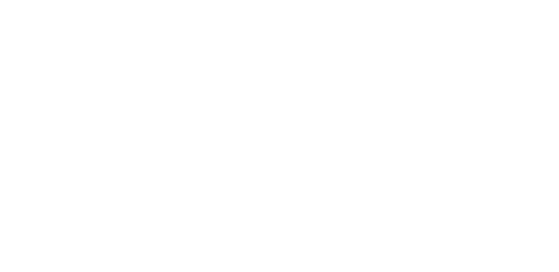 Las aventuras de Spin y Marty