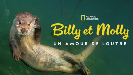 thumbnail - Billy et Molly : Un amour de loutre
