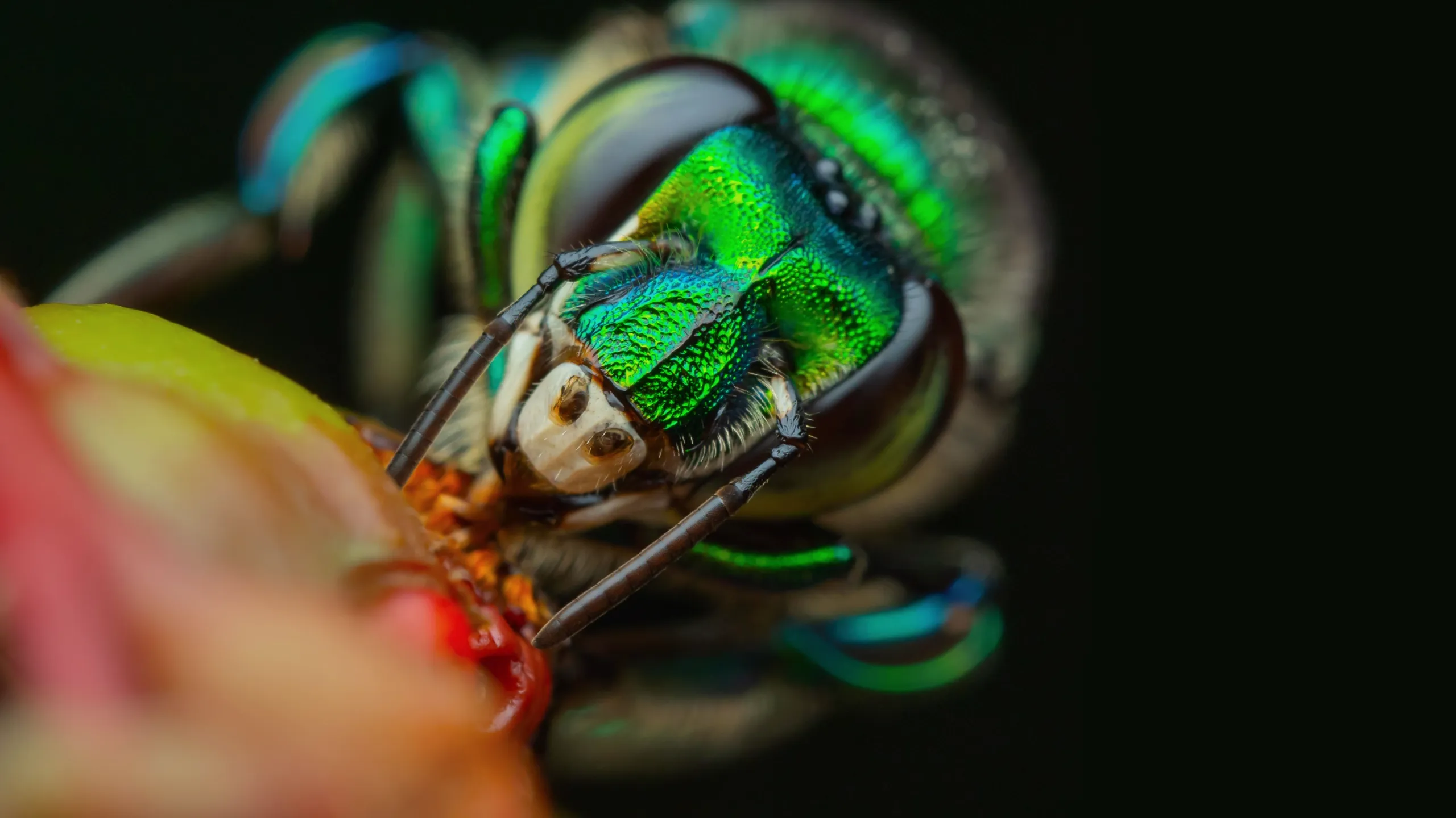 thumbnail - S1:E2 Welcome to the Jungle