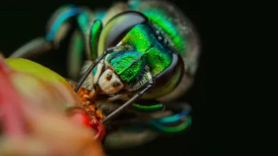 thumbnail - S1:E2 Welcome to the Jungle