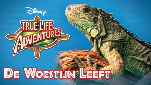 thumbnail - De Woestijn Leeft