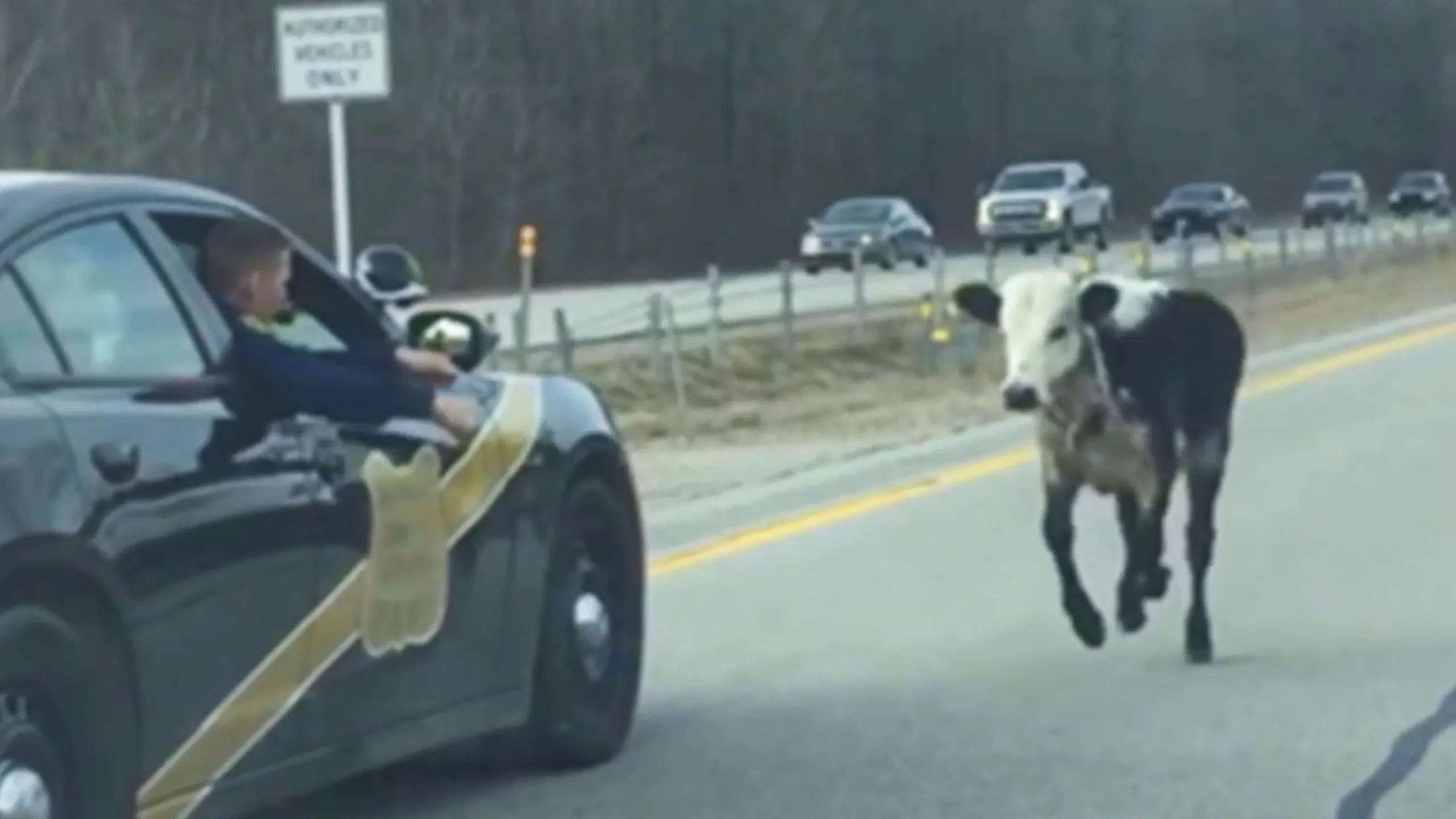 thumbnail - S1:E15 Roadway Ridiculousness