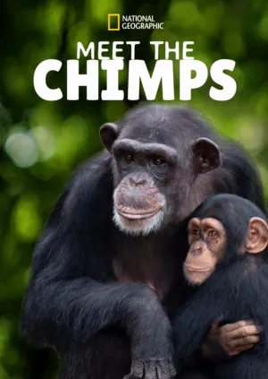 Meet The Chimps