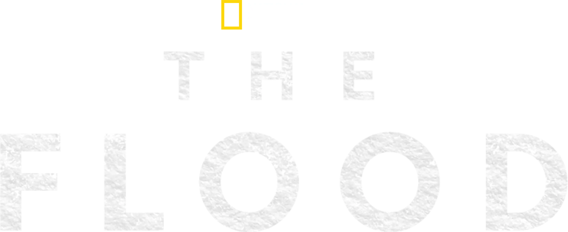 The Flood