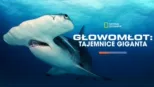 thumbnail - Głowomłot: tajemnice giganta