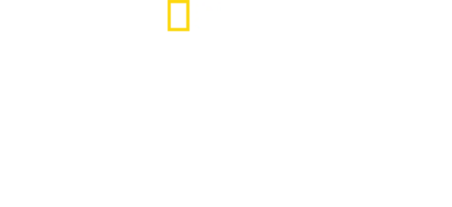 地獄廚神：異國尋味