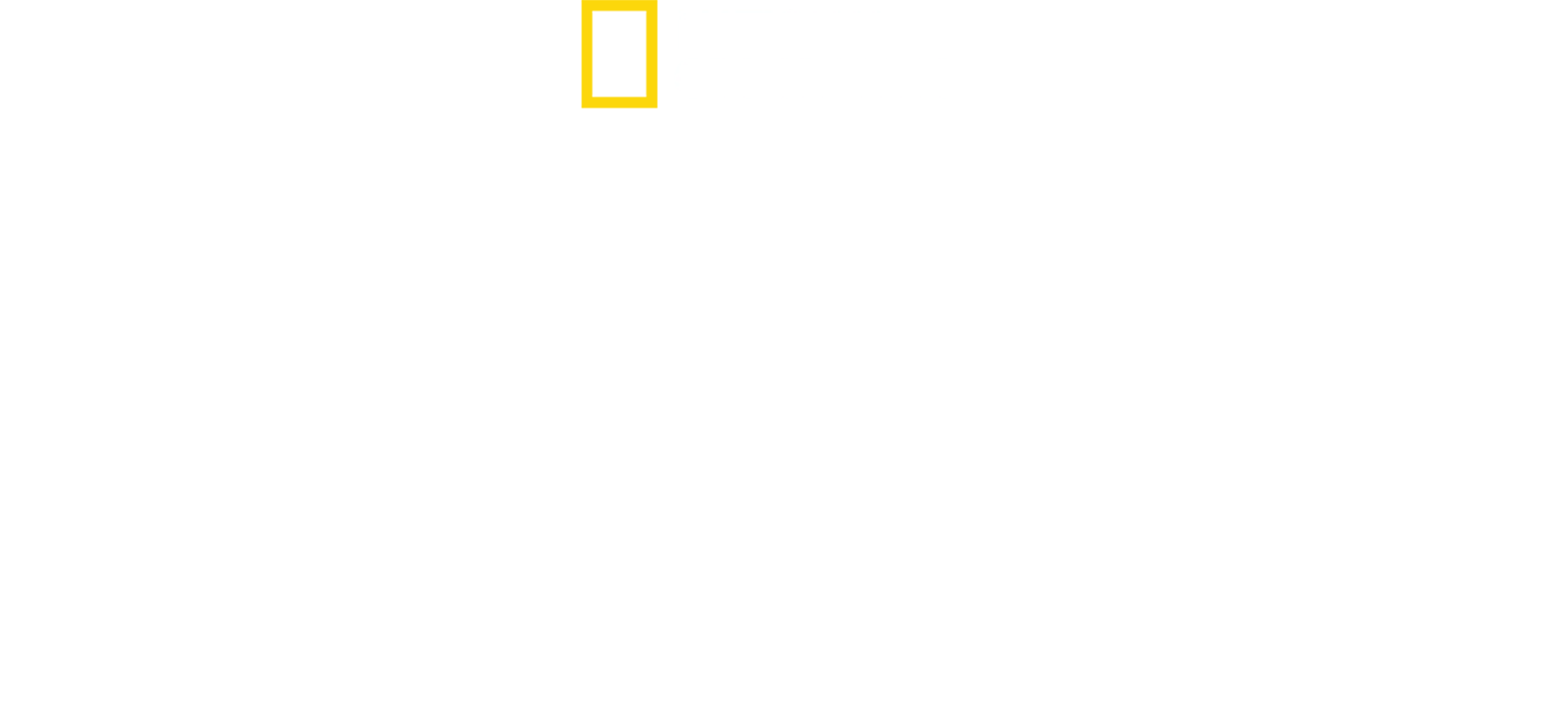 地獄廚神：異國尋味