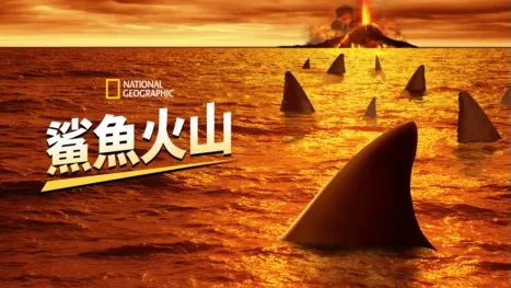 thumbnail - 鯊魚火山