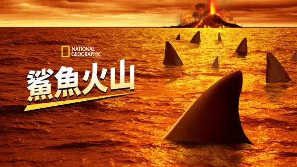 thumbnail - 鯊魚火山