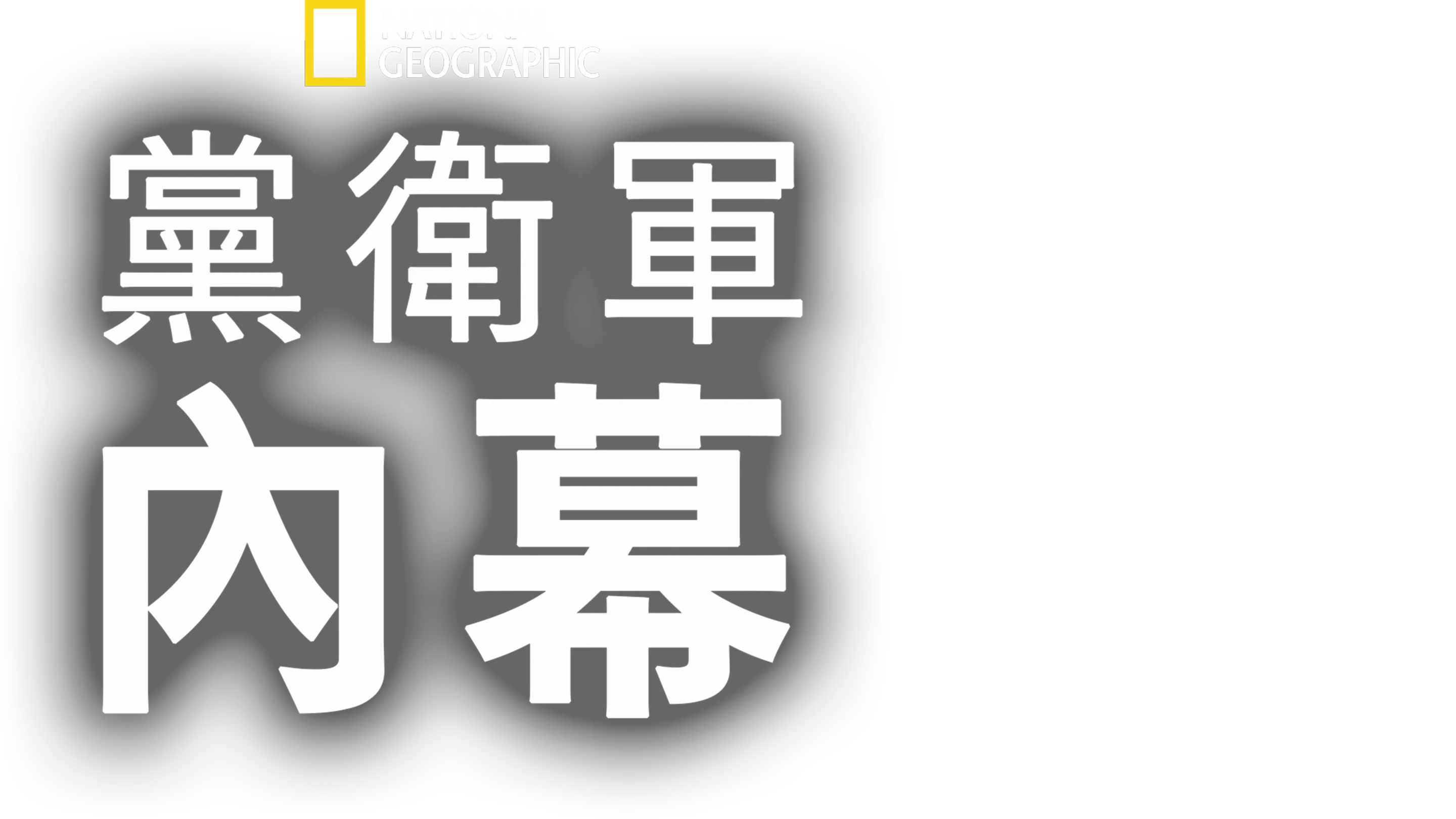 黨衛軍內幕