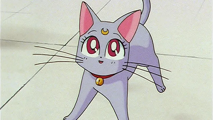 thumbnail - S4:E133 (Sub) Artemis Is Cheating? Enter the Mysterious Kitten