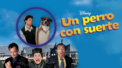 thumbnail - Un perro con suerte