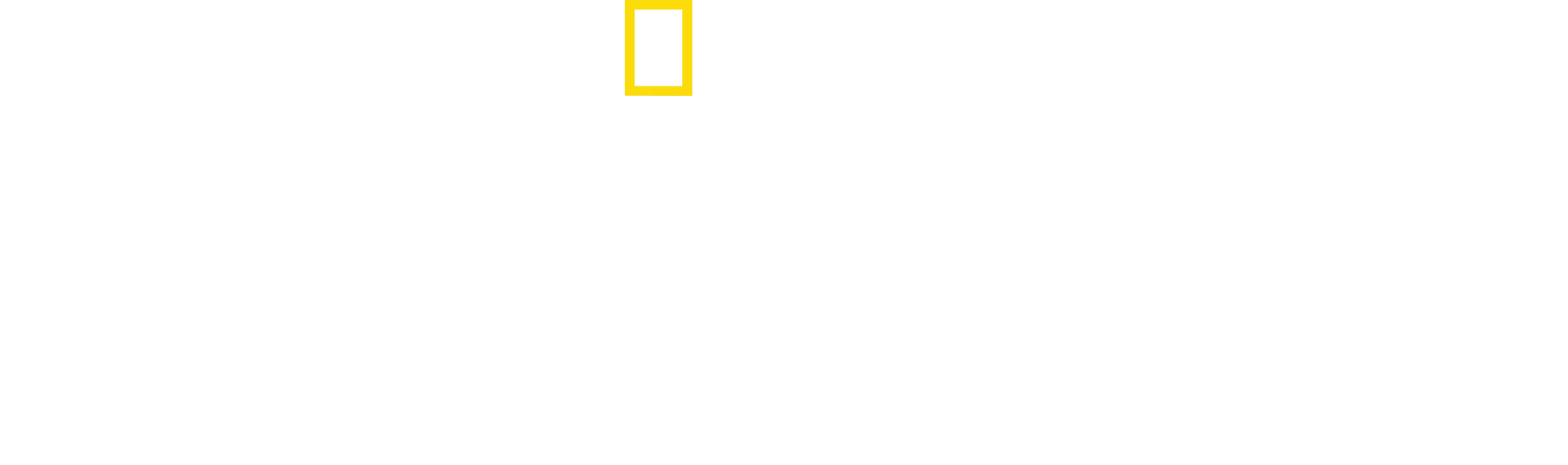 마리아나 반 젤러의 암시장 파헤치기