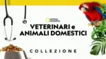 thumbnail - Veterinari e animali domestici