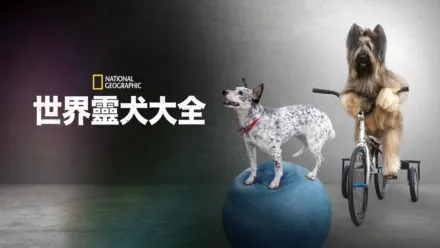 thumbnail - 世界靈犬大全