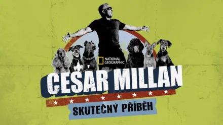 thumbnail - Cesar Millan: Skutečný příběh