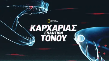 thumbnail - Καρχαρίας εναντίον Τόνου