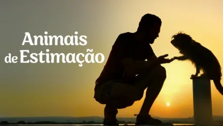 thumbnail - Animais de Estimação
