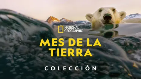 thumbnail - Mes de la Tierra