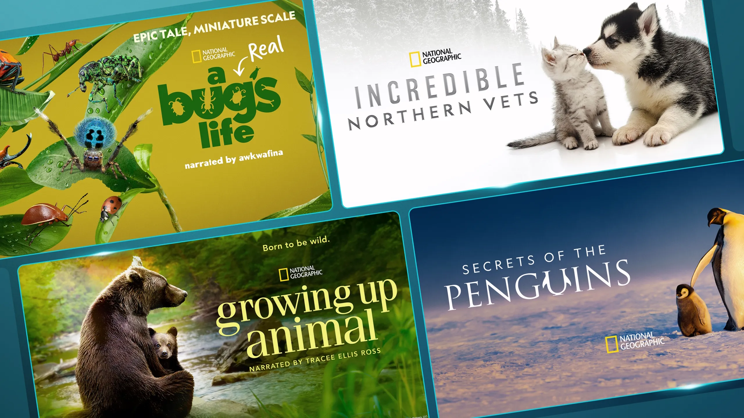 Promotional image for the  National Geographic: Nature Break Watch Guide