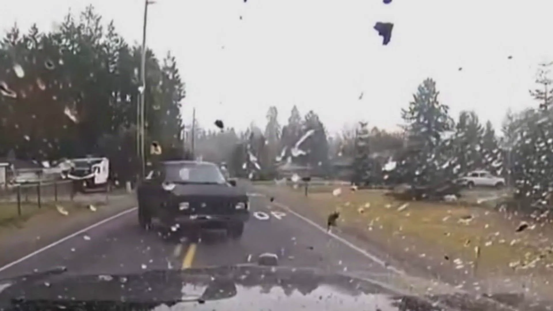 thumbnail - S1:E19 Fugitives Caught on Tape  (#119)