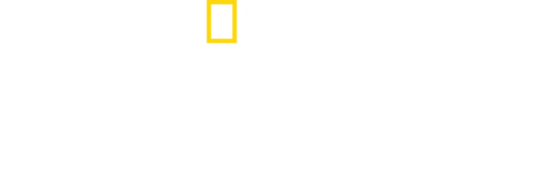 Nazi Mega Yapıları: Amerika'nın Savaşı