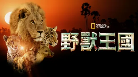 thumbnail - 野獸王國