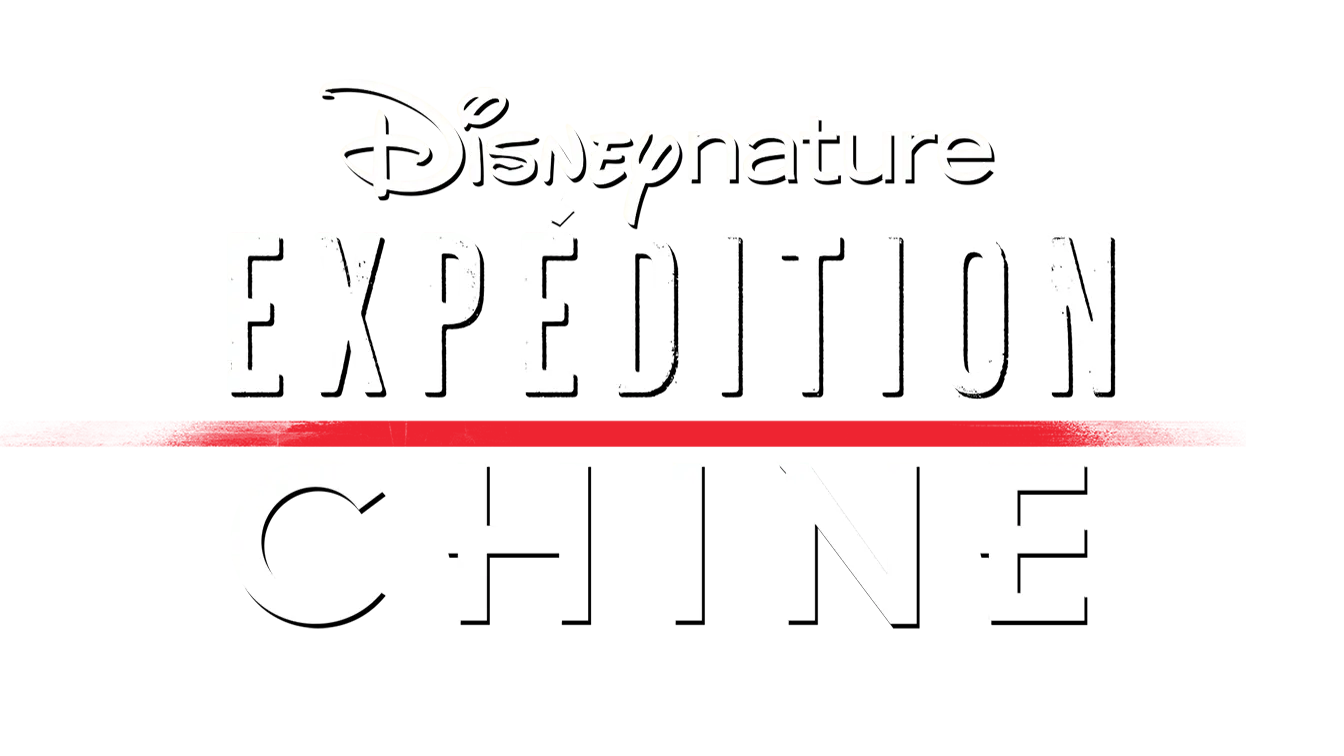 Expédition Chine