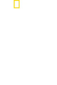 世界大自然紀行：赤道