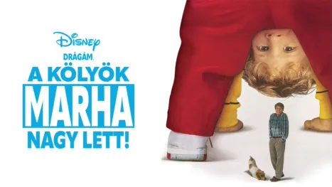 thumbnail - Drágám, a kölyök marha nagy lett!