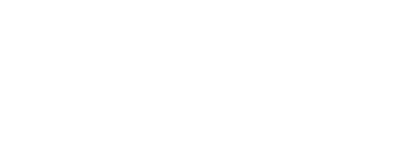 Leverkusen vs. Vfl Wolfsburg