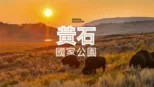 thumbnail - 黃石國家公園