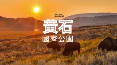 黃石國家公園