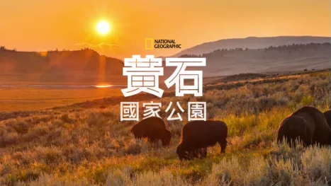 thumbnail - 黃石國家公園