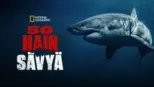 thumbnail - 50 hain sävyä