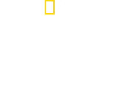 Cidades Perdidas com Albert Lin
