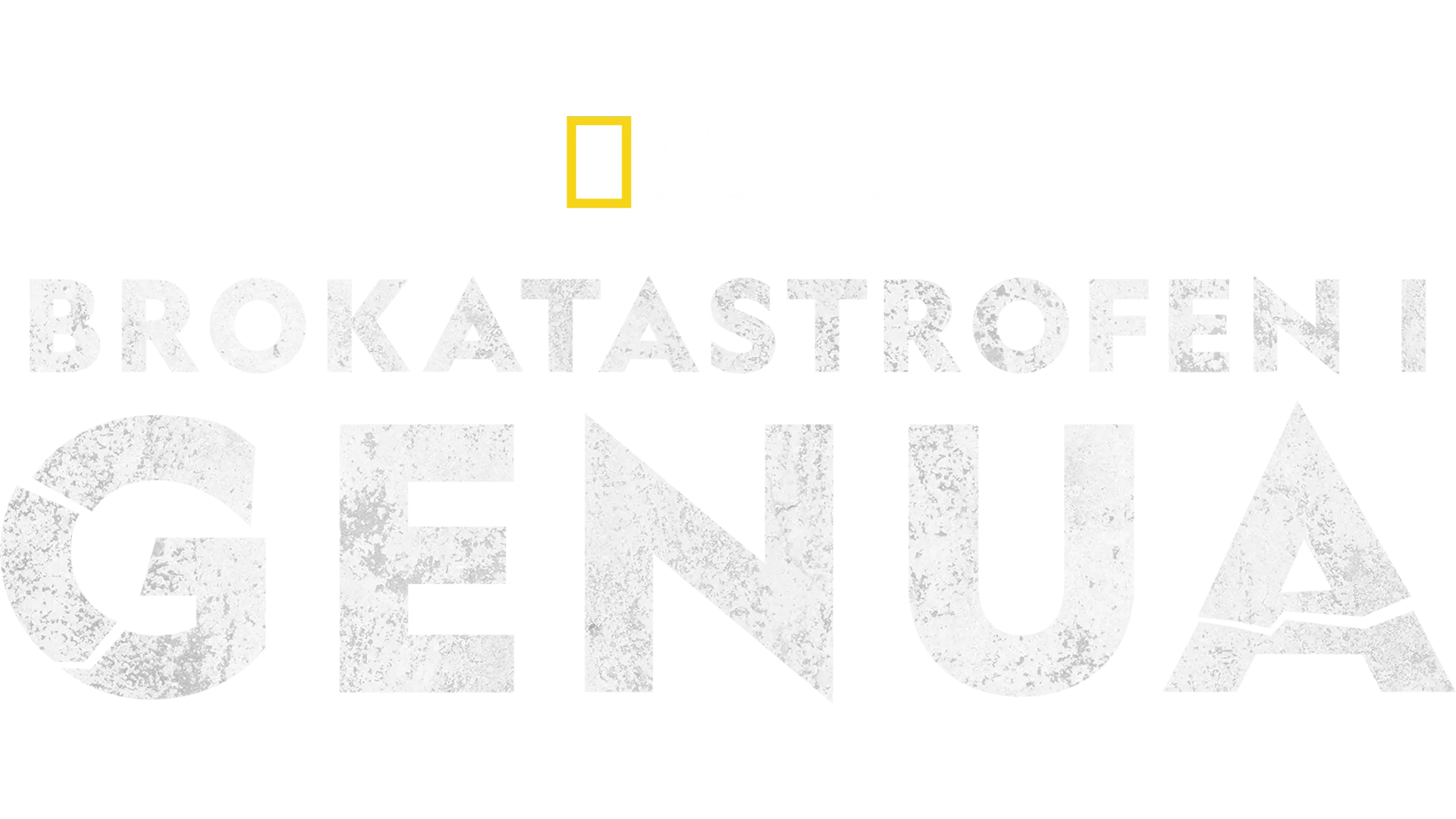 Brokatastrofen i Genua