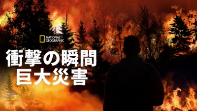 衝撃の瞬間 巨大災害