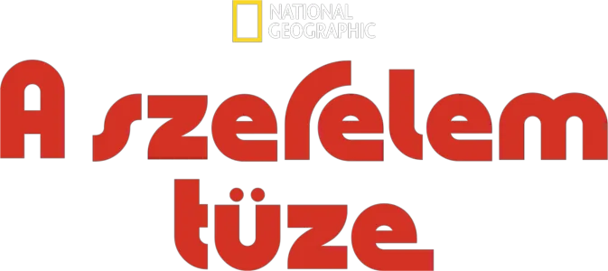 A szerelem tüze
