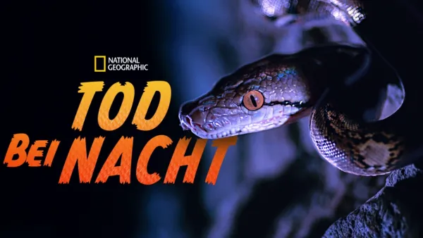 thumbnail - Tod bei Nacht