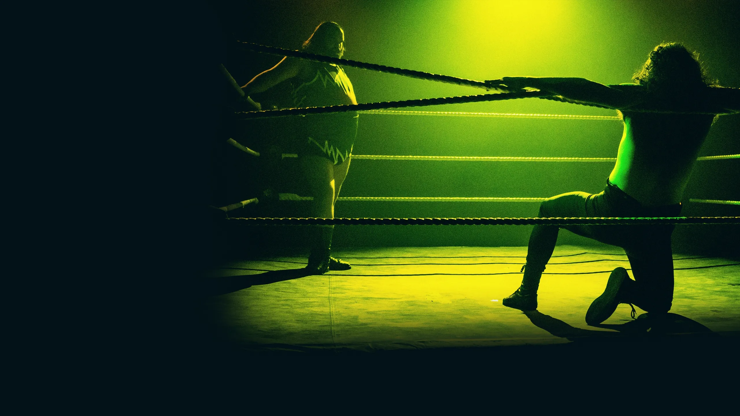 Dark Side of the Ring