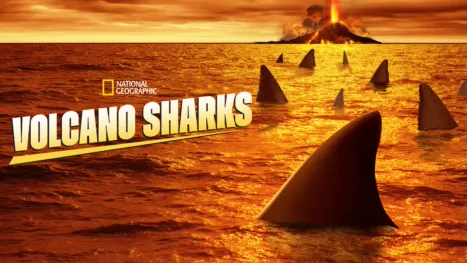 thumbnail - Volcano Sharks