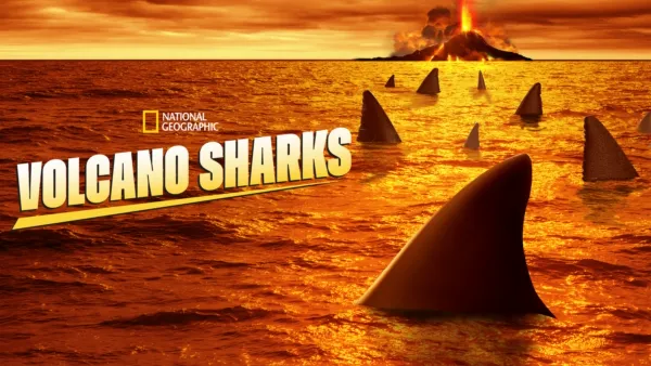 thumbnail - Volcano Sharks