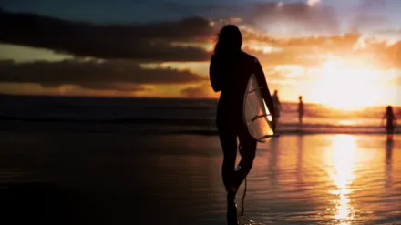 The Search for Freedom