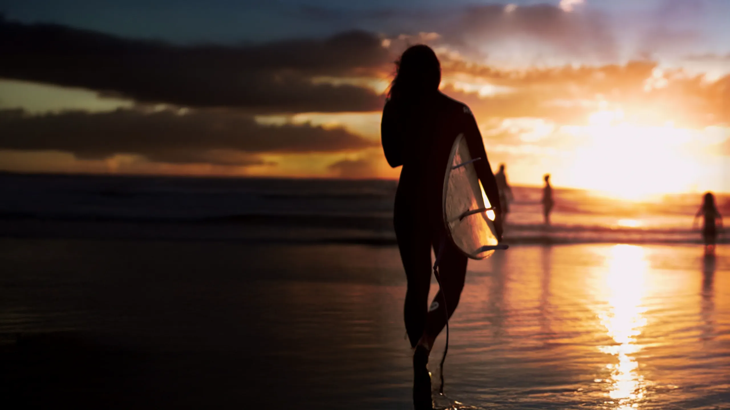 The Search for Freedom