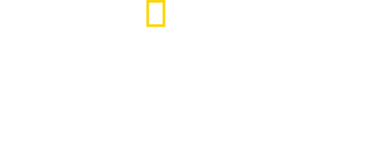 Nazisternas megabyggen