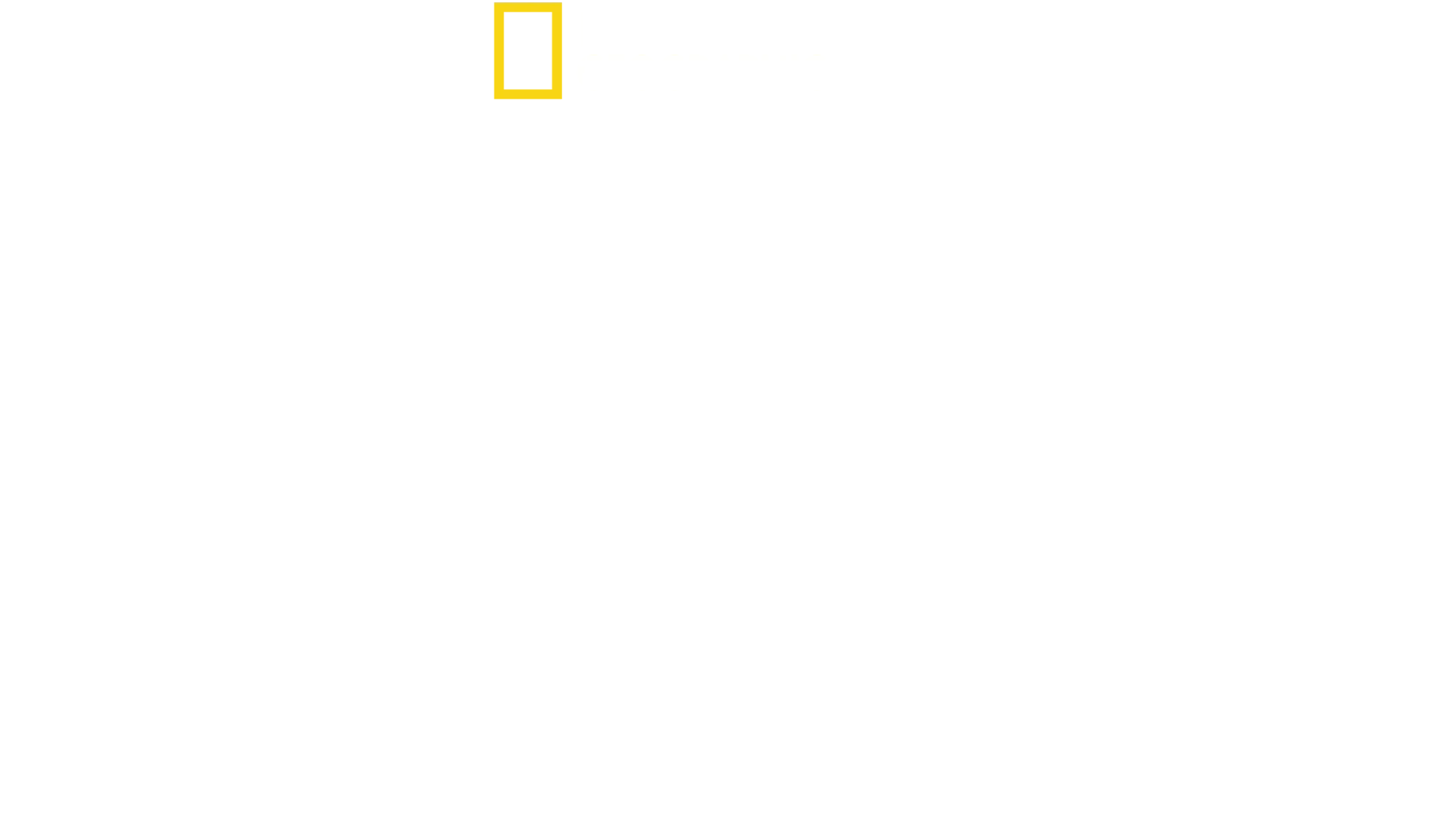 満月と深海とハンマーヘッド