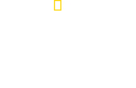 満月と深海とハンマーヘッド